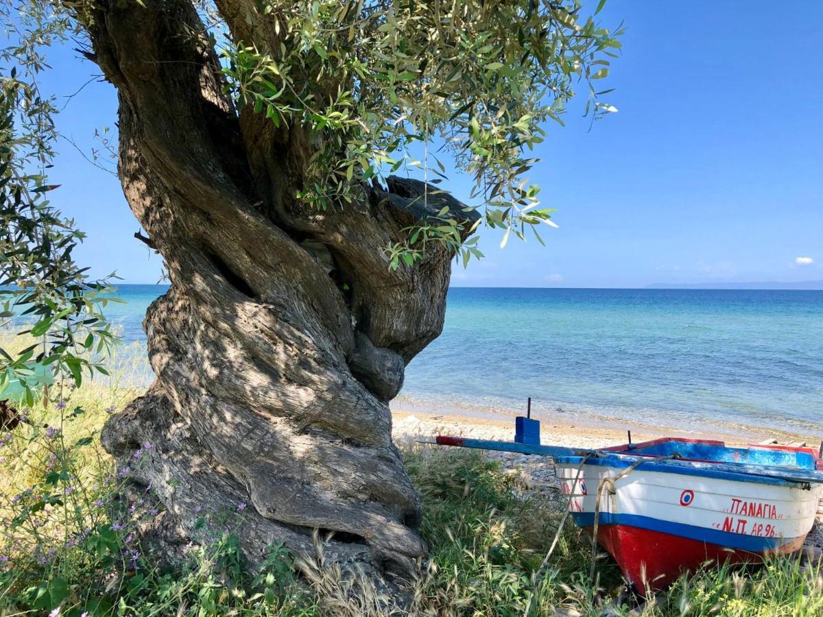 Byblos Luxury Villas Byblos Chateau Villa Prínos Buitenkant foto